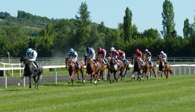 horse race, hippodrome, horses